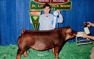 Reserve Champion Duroc Gilt – 2023 Georgia National Jr Livestock Show