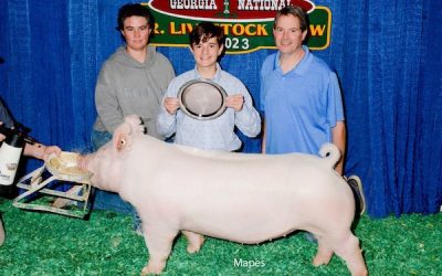 Reserve Champion Purebred Gilt & Champion Yorkshire –  2023 Georgia National Jr Livestock Show
