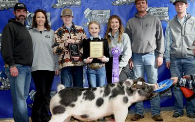 Champion Spot Market Hog –  2023 Dixie National
