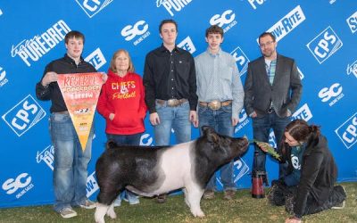 Reserve Champion Crossbred Barrow – 2023 TP Sweet Peach Regional