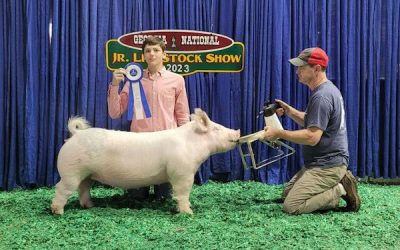 3rd Overall Division 3 Crossbred Gilt – 2023 Georgia National Jr Livestock Show
