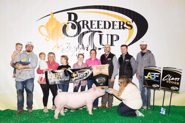 7th Overall Gilt & Reserve Yorkshire  – 2023 Breeder’s Cup