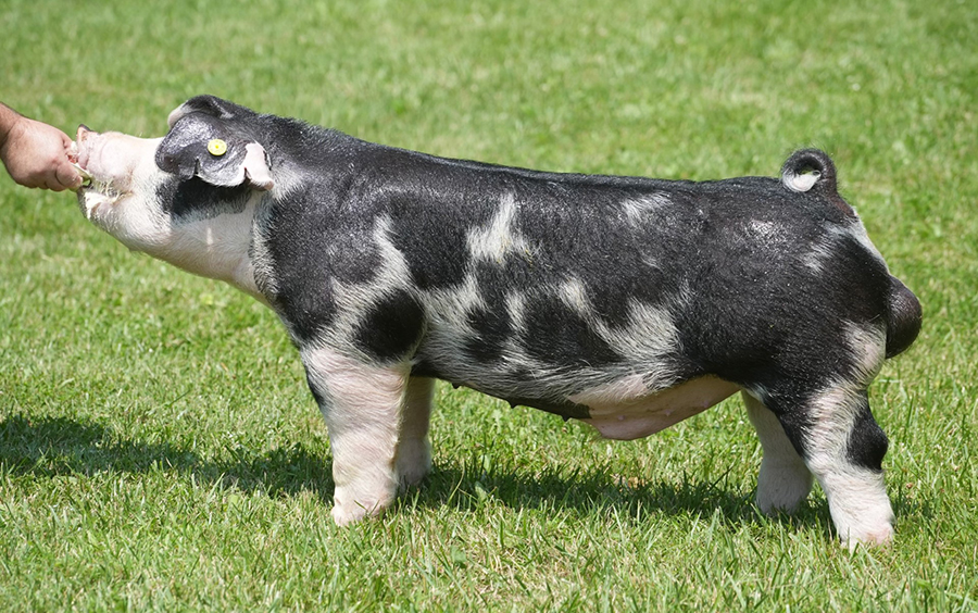 Full Circle Full Circle