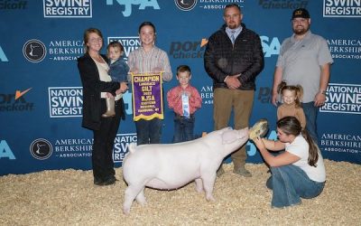 Champion Landrace Gilt – 2023 NJSA Eastern Regional