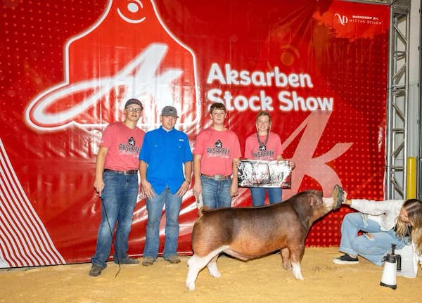 Reserve Champion Hereford Market Hog – 2023 Aksarben