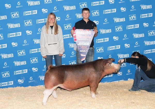 Reserve Champion Hereford Barrow – 2023 NBS Junior Classic