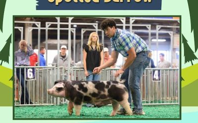 4th Overall Spot Barrow – 2023 NJSS