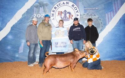 Champion AOB  – 2023 American Royal