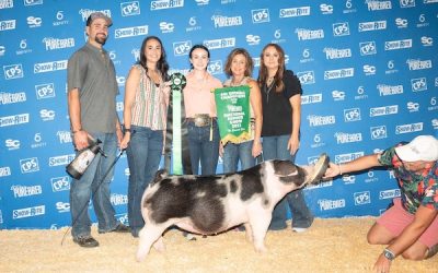 4th Overall Spot Gilt & Champion Overall Bred & Owned Gilt – 2023 Team Purebred National Jr Show