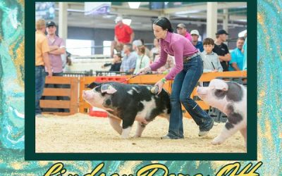 Reserve Champion Bred & Owned Spot Barrow – 2023 Team Purebred National Jr Show