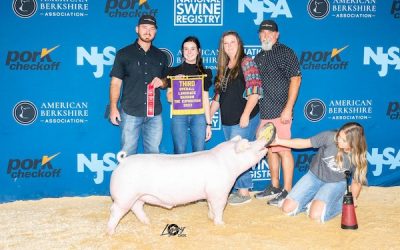 3rd Overall Landrace Barrow – 2023 The Exposition