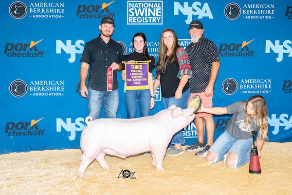 3rd Overall Landrace Barrow – 2023 The Exposition