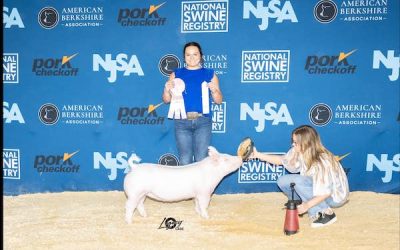 4th Overall Division 1 Yorkshire Gilt – 2023 The Exposition