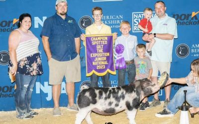 Champion Spot Gilt – 2023 The Exposition