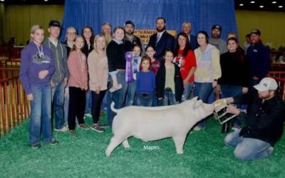 Champion Chester Market Hog – 2023 North American International Livestock Expo