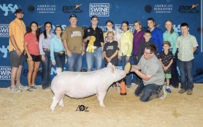5th Overall Division 4 Yorkshire Gilt  – 2023 The Exposition