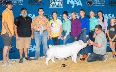 1st Place Landrace Gilt  – 2023 The Exposition