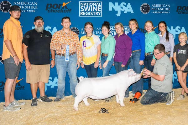 1st Place Landrace Gilt  – 2023 The Exposition