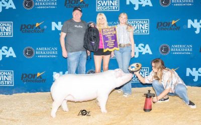 Reserve Champion Landrace Gilt – 2023 The Exposition