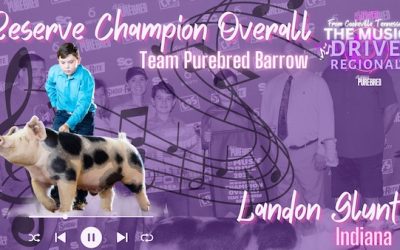 Reserve Overall Team Purebred Barrow & Champion Spot – 2023 Team Purebred Music City Drive