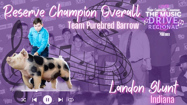 Reserve Overall Team Purebred Barrow & Champion Spot – 2023 Team Purebred Music City Drive
