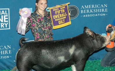 5th Overall Berkshire Gilt – 2023 NJSS