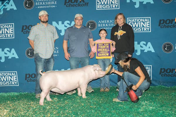 4th Overall Landrace Barrow – 2023 NJSS