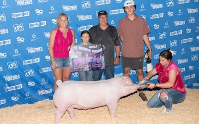 Reserve Champion Landrace Barrow – 2023 Team Purebred Music City Drive
