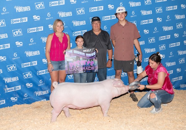 Reserve Champion Landrace Barrow – 2023 Team Purebred Music City Drive