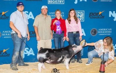 Champion Division 1 Spot Gilt – 2023 The Exposition