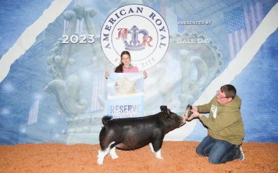 Reserve Champion Berkshire Gilt – 2023 American Royal