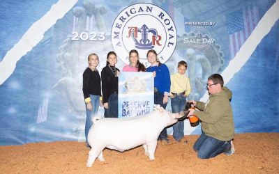 Reserve Champion Yorkshire Barrow – 2023 American Royal