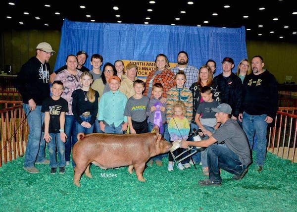 Champion Tamworth Market Hog – 2023 North American International Livestock Expo