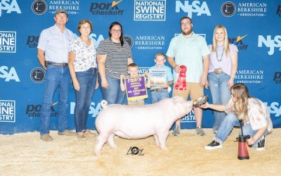 4th Overall Landrace Gilt & Reserve Champion Bred & Owned – 2023 The Exposition