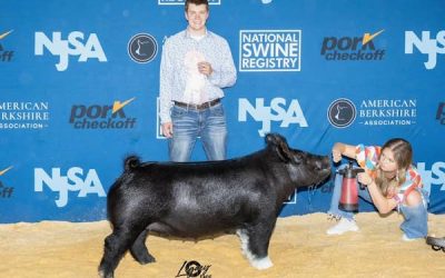 4th Overall Division 5 Crossbred Gilt – 2023 The Exposition