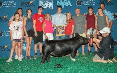 5th Overall Crossbred Gilt – 2023 NJSS