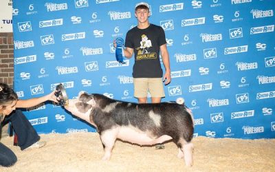 1st Place Spot Gilt – 2023 Team Purebred National Jr Show