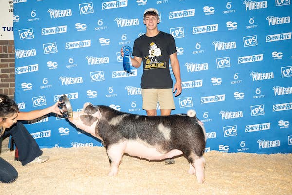 1st Place Spot Gilt – 2023 Team Purebred National Jr Show