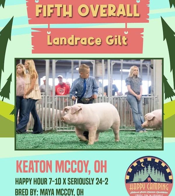 5th Overall Landrace Gilt – 2023 NJSS