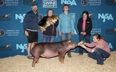 Champion Division 1 Duroc Gilt – 2023 NJSA Eastern Regional