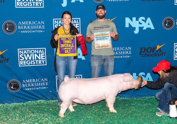 3rd Overall Landrace Gilt – NJSS