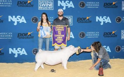 Champion Landrace Gilt & Champion Bred & Owned  – 2023 The Exposition