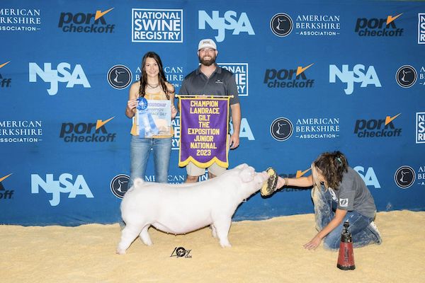 Champion Landrace Gilt & Champion Bred & Owned  – 2023 The Exposition