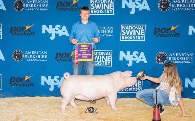 3rd Overall Landrace Gilt  – 2023 The Exposition