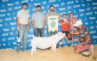 Champion Landrace Gilt – 2023 Team Purebred National Jr Show