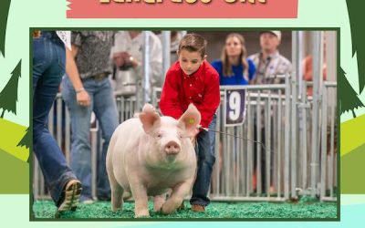 4th Overall Landrace Gilt – 2023 NJSS