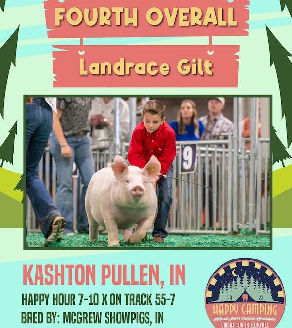 4th Overall Landrace Gilt – 2023 NJSS