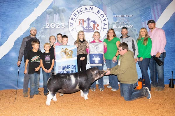 4th Overall Gilt & Champion Spot – 2023 American Royal