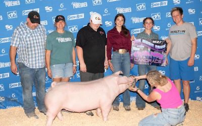 Champion Landrace Gilt – 2023 Team Purebred Music City Drive