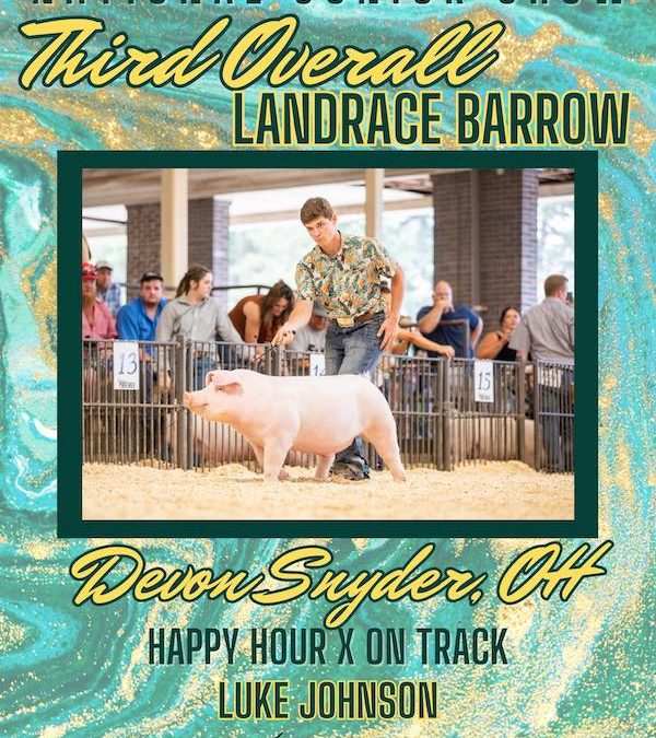 3rd Overall Landrace Barrow – 2023 Team Purebred National Jr Show
